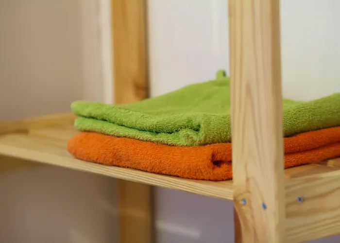 Hostel Oras Nakvynės namai *