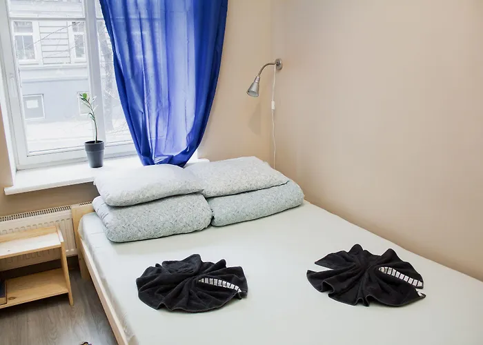 Hostel Oras Nakvynės namai *